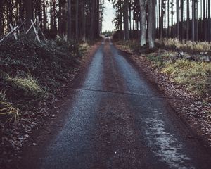 Preview wallpaper path, road, grass, trees