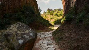 Preview wallpaper path, rocks, palm trees, trees