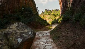 Preview wallpaper path, rocks, palm trees, trees