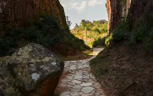 Preview wallpaper path, rocks, palm trees, trees