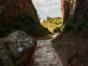 Preview wallpaper path, rocks, palm trees, trees