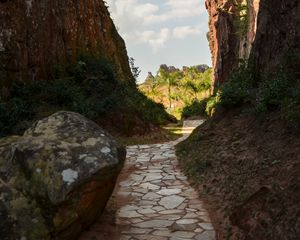 Preview wallpaper path, rocks, palm trees, trees