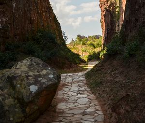 Preview wallpaper path, rocks, palm trees, trees