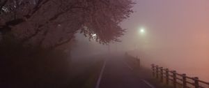 Preview wallpaper path, sakura, fog, dusk