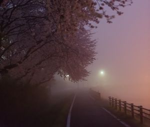 Preview wallpaper path, sakura, fog, dusk