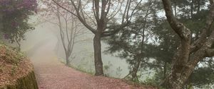 Preview wallpaper path, sakura, trees, fog, petals