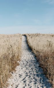 Preview wallpaper path, sand, grass, dry, field