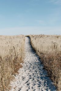 Preview wallpaper path, sand, grass, dry, field