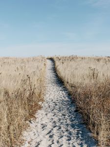 Preview wallpaper path, sand, grass, dry, field
