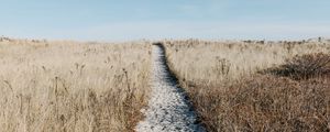 Preview wallpaper path, sand, grass, dry, field