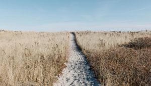 Preview wallpaper path, sand, grass, dry, field