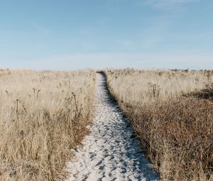 Preview wallpaper path, sand, grass, dry, field