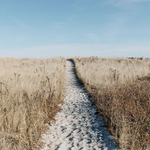 Preview wallpaper path, sand, grass, dry, field