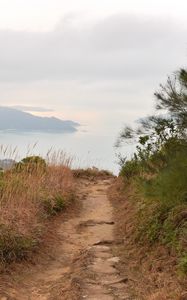Preview wallpaper path, shore, sea, fog, landscape