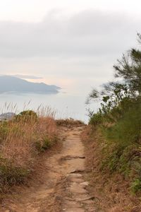 Preview wallpaper path, shore, sea, fog, landscape