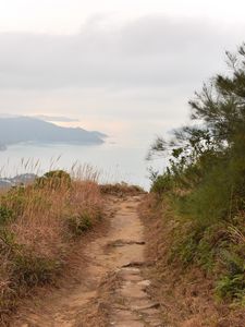 Preview wallpaper path, shore, sea, fog, landscape