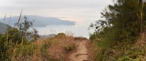 Preview wallpaper path, shore, sea, fog, landscape