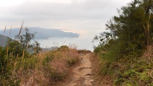 Preview wallpaper path, shore, sea, fog, landscape