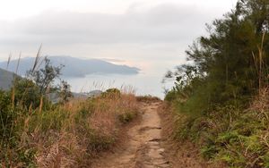 Preview wallpaper path, shore, sea, fog, landscape