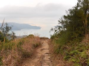 Preview wallpaper path, shore, sea, fog, landscape