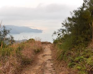 Preview wallpaper path, shore, sea, fog, landscape