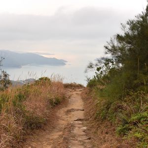 Preview wallpaper path, shore, sea, fog, landscape
