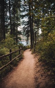 Preview wallpaper path, spruce, trees, fence