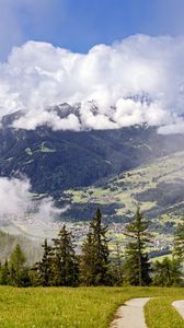 Preview wallpaper path, spruces, forest, clouds, mountains