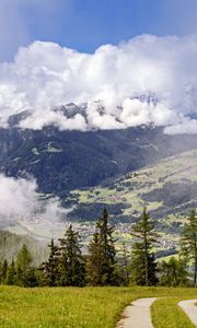 Preview wallpaper path, spruces, forest, clouds, mountains