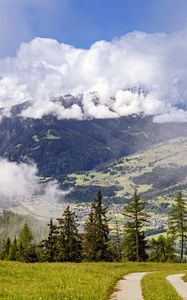 Preview wallpaper path, spruces, forest, clouds, mountains