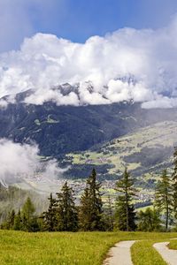 Preview wallpaper path, spruces, forest, clouds, mountains