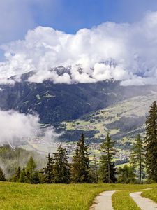 Preview wallpaper path, spruces, forest, clouds, mountains
