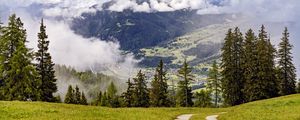 Preview wallpaper path, spruces, forest, clouds, mountains