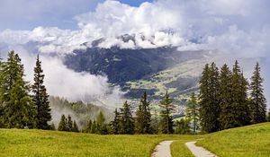 Preview wallpaper path, spruces, forest, clouds, mountains