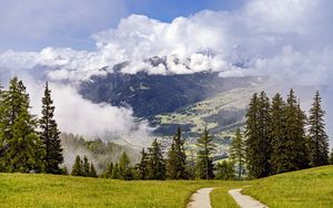 Preview wallpaper path, spruces, forest, clouds, mountains
