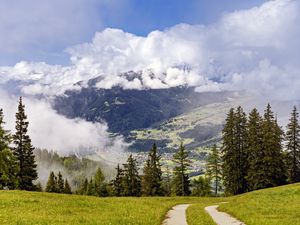 Preview wallpaper path, spruces, forest, clouds, mountains