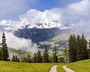 Preview wallpaper path, spruces, forest, clouds, mountains