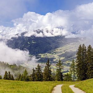 Preview wallpaper path, spruces, forest, clouds, mountains