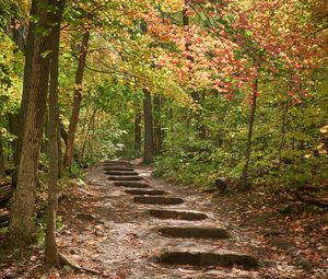 Preview wallpaper path, steps, forest, autumn, fallen leaves
