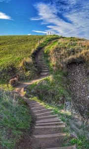 Preview wallpaper path, steps, hill, grass