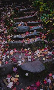 Preview wallpaper path, stones, fallen leaves, autumn