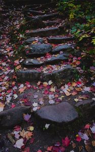Preview wallpaper path, stones, fallen leaves, autumn