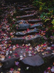 Preview wallpaper path, stones, fallen leaves, autumn