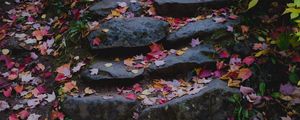 Preview wallpaper path, stones, fallen leaves, autumn