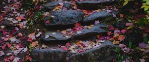 Preview wallpaper path, stones, fallen leaves, autumn