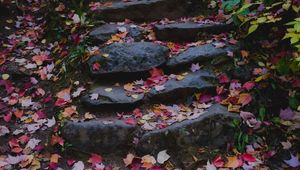Preview wallpaper path, stones, fallen leaves, autumn