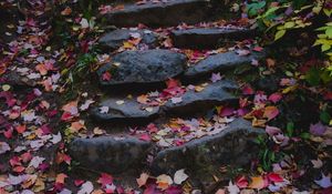 Preview wallpaper path, stones, fallen leaves, autumn
