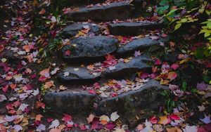 Preview wallpaper path, stones, fallen leaves, autumn