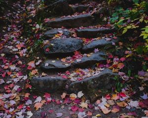 Preview wallpaper path, stones, fallen leaves, autumn