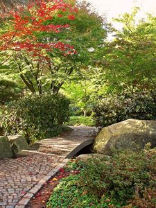 Preview wallpaper path, stones, garden, trees, autumn, leaves